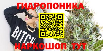 МДПВ Можга