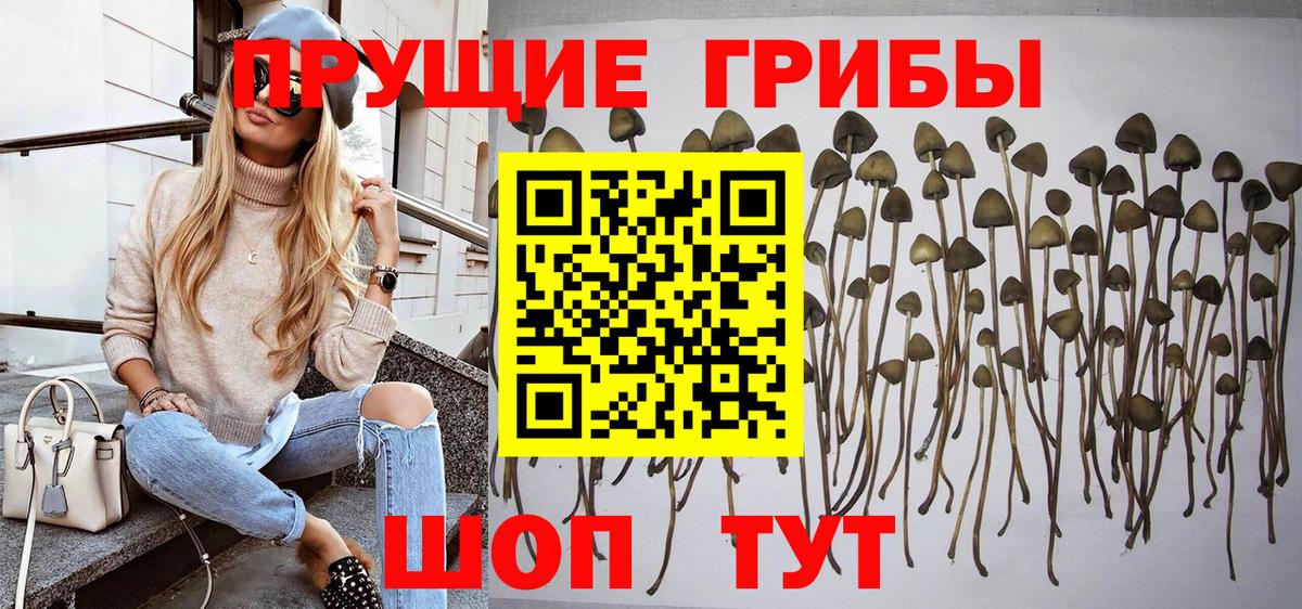 Галлюциногенные грибы Cubensis  Псилоцибиновые грибы Cubensis  Ступино  Вход с VPN 